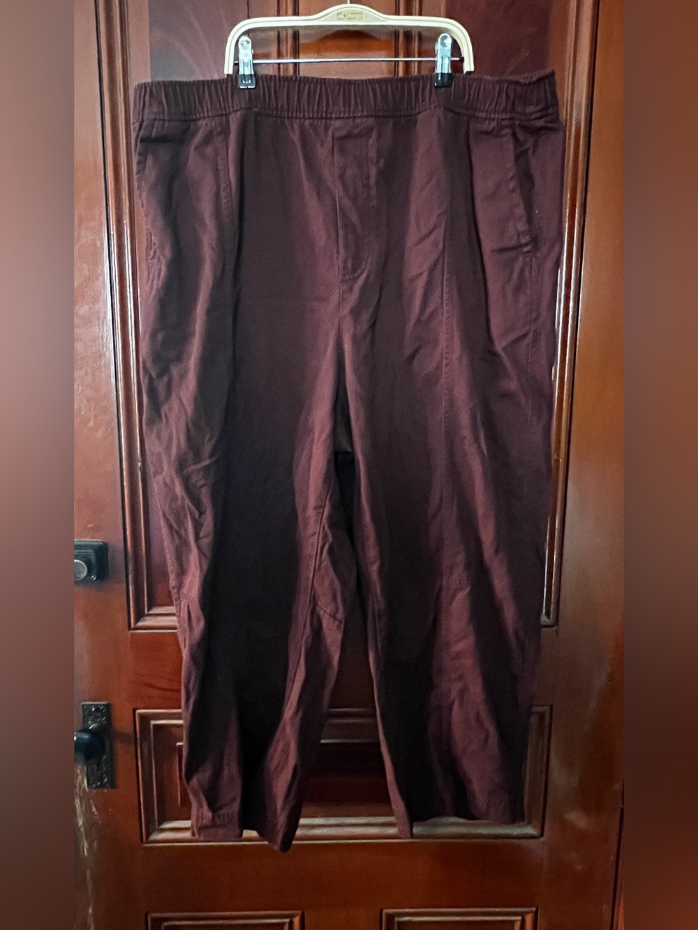 Old Navy Barrel Pants Mountain Wood Rust Red 2X